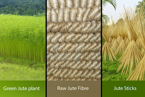 Social Responsibility